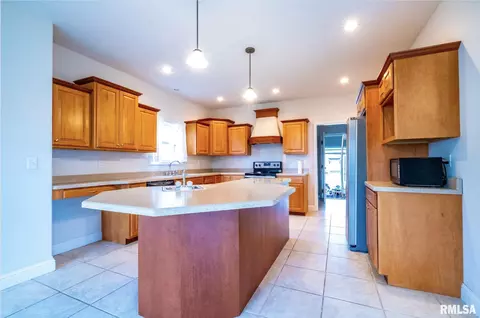 206 Marblestone Dr, Chatham, IL 62629 photo 18
