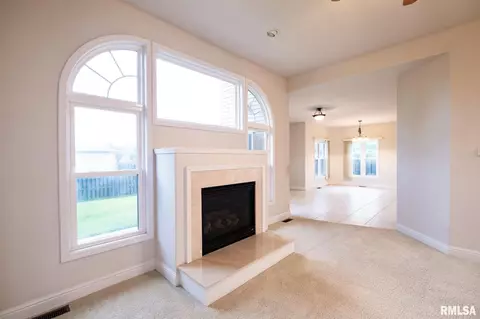 206 Marblestone Dr, Chatham, IL 62629 photo 9