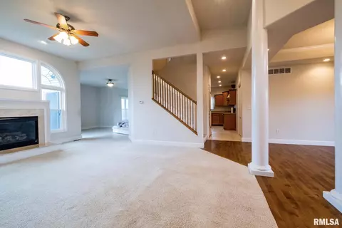 206 Marblestone Dr, Chatham, IL 62629 photo 30