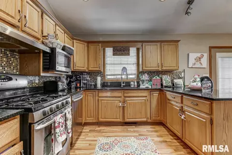59 Holliday Rd, Springfield, IL 62702 photo 10
