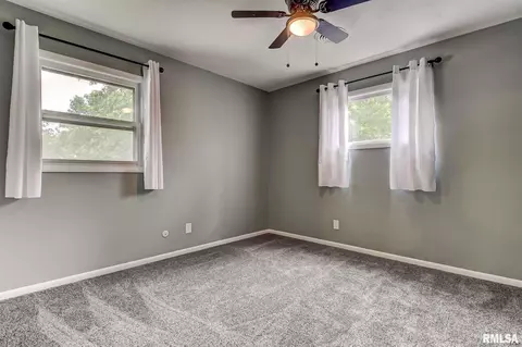 160 Exmore Dr, Springfield, IL 62704 photo 19