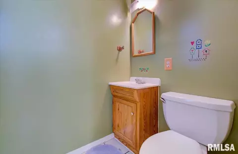 265 Elm St, Waverly, IL 62692 photo 28