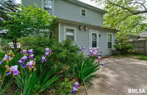 265 Elm St, Waverly, IL 62692 photo 37