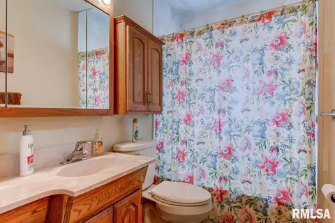 1533 W Capitol Ave, Springfield, IL 62704 photo 21