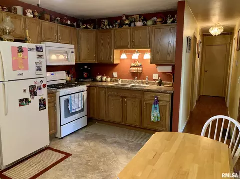 208 Cedar St, Abingdon, IL 61410 photo 8