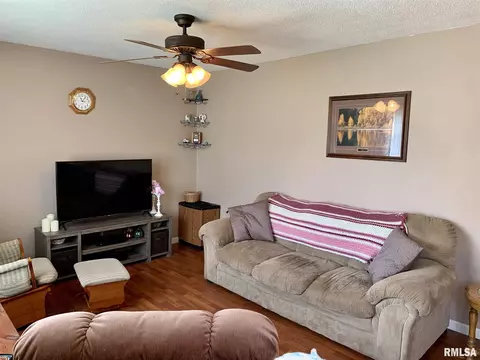208 Cedar St, Abingdon, IL 61410 photo 6