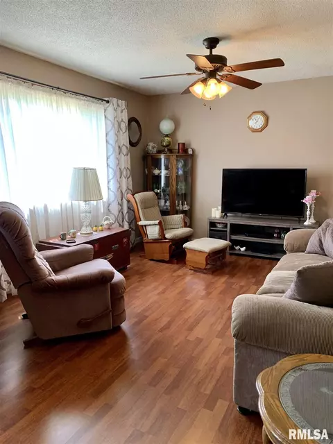 208 Cedar St, Abingdon, IL 61410 photo 5
