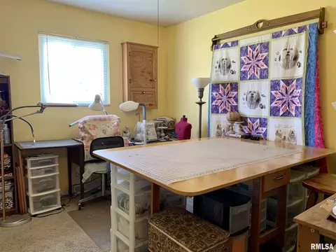 208 Cedar St, Abingdon, IL 61410 photo 17
