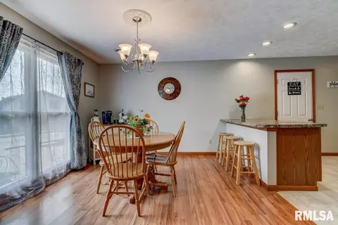 101 Resina Dr, Springfield, IL 62703 photo 7
