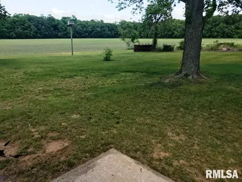 11666 County Road 900 N Rd, Bath, IL 62617 photo 6