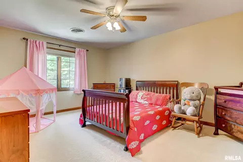2308 Peppermill Pointe Ct, Springfield, IL 62712 photo 32
