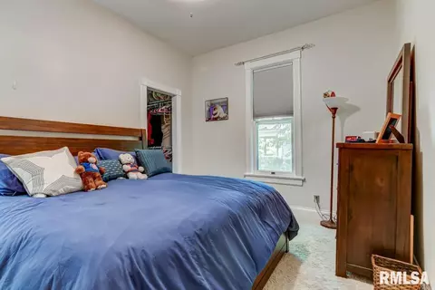 114 S Douglas Ave, Springfield, IL 62704 photo 15