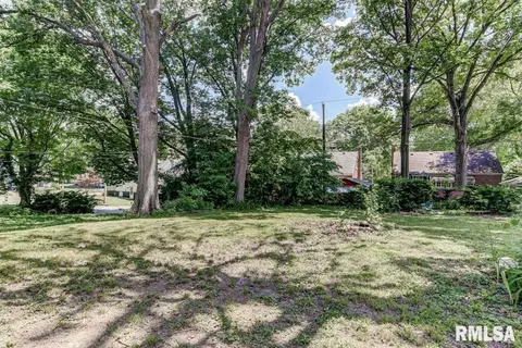 114 S Douglas Ave, Springfield, IL 62704 photo 24