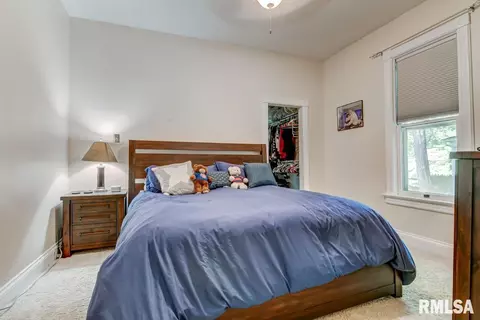 114 S Douglas Ave, Springfield, IL 62704 photo 14