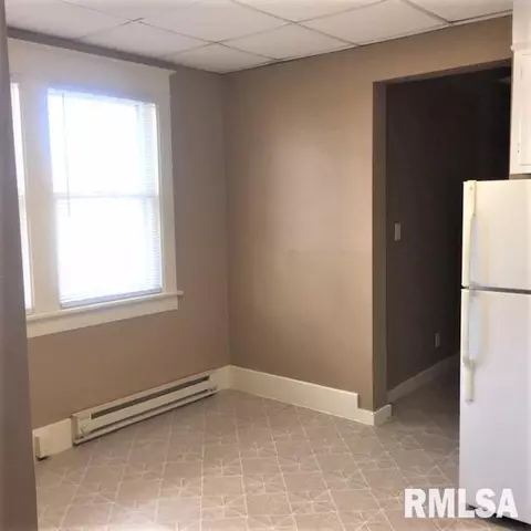 617 E Pine St, Springfield, IL 62703 photo 11