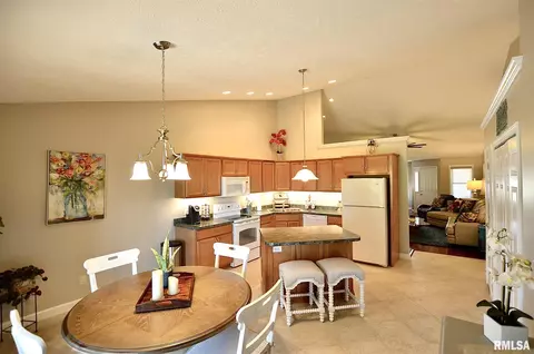4415 Castle Pines Dr, Springfield, IL 62711 photo 9