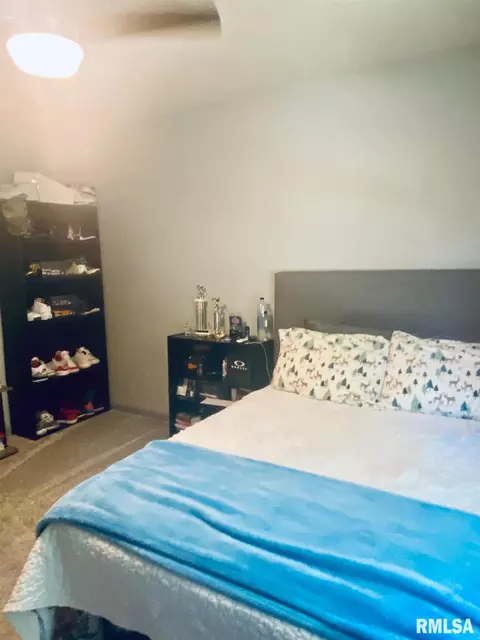 3821 Carney Blvd, Springfield, IL 62712 photo 17