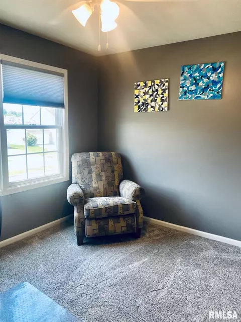3821 Carney Blvd, Springfield, IL 62712 photo 11
