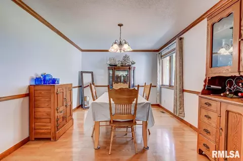 2925 Mill Point Ct, Springfield, IL 62704 photo 9