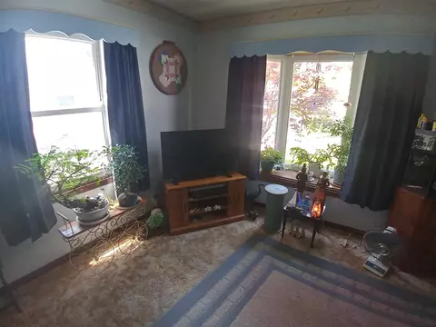 3004 S Thayer St, Springfield, IL 62704 photo 11