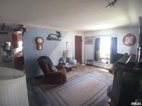 3004 S Thayer St, Springfield, IL 62704 photo 10