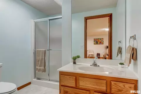 5008 Foxfire Ct, Springfield, IL 62711 photo 38