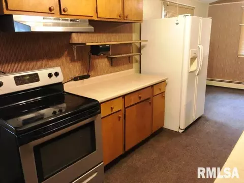 202 N Elm St, Bath, IL 62617 photo 4