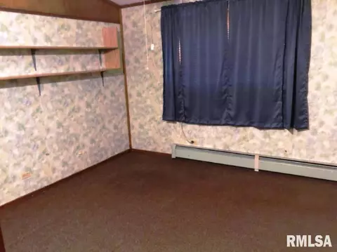 202 N Elm St, Bath, IL 62617 photo 7