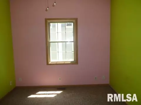 309 S Maple St, Pana, IL 62557 photo 21