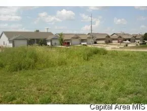 2916 Cindy Ln, Springfield, IL 62711 photo 5