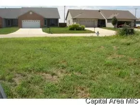 2916 Cindy Ln, Springfield, IL 62711 photo 2