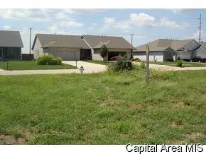 4100 Amy Ct, Springfield, IL 62711 photo 5