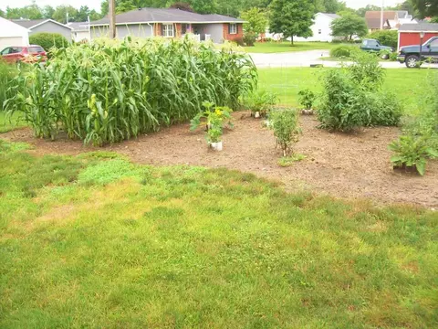 136 E Jefferson St, Winchester, IL 62694 photo 26