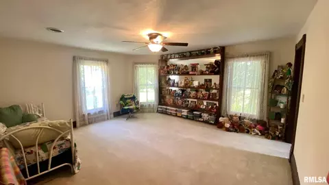433 Walnut St, Dawson, IL 62520 photo 27