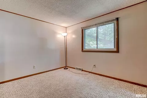 3117 Camereigh Drive, Springfield, IL 62707 photo 19