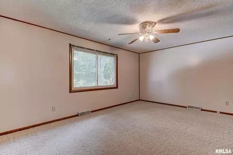 3117 Camereigh Drive, Springfield, IL 62707 photo 17