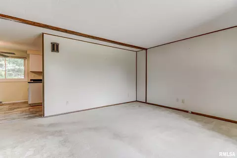 3117 Camereigh Drive, Springfield, IL 62707 photo 8