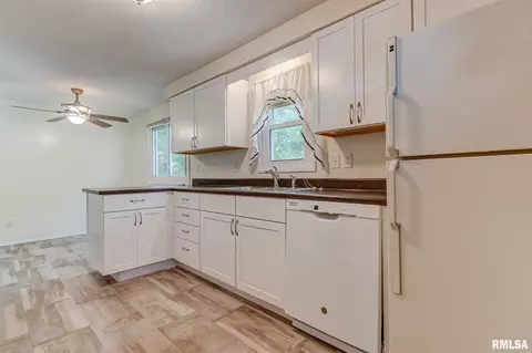 3117 Camereigh Drive, Springfield, IL 62707 photo 10