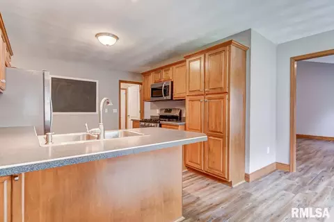2415 Hampton Dr, Chatham, IL 62629 photo 7