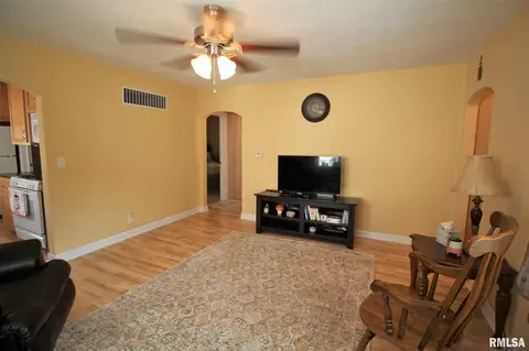 2925 Elliott St, Springfield, IL 62702 photo 14