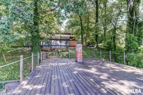 8 Bay Ridge Ln, Springfield, IL 62712 photo 41