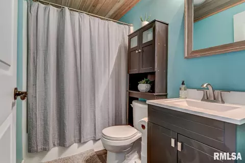39 Meander Pike, Chatham, IL 62629 photo 37