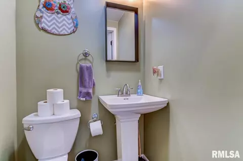 39 Meander Pike, Chatham, IL 62629 photo 22