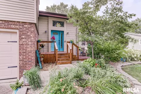 39 Meander Pike, Chatham, IL 62629 photo 3