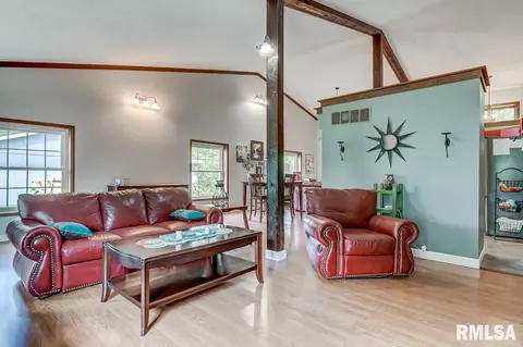 39 Meander Pike, Chatham, IL 62629 photo 19