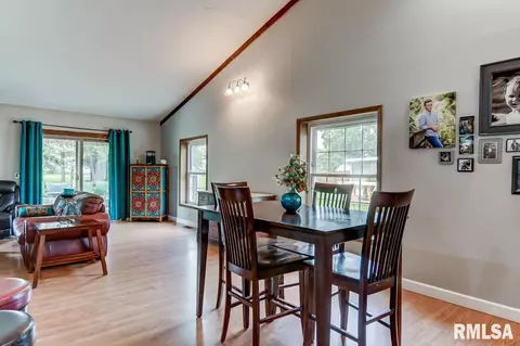 39 Meander Pike, Chatham, IL 62629 photo 17