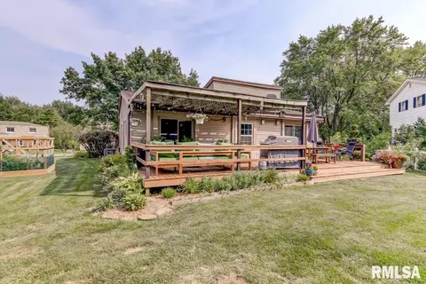 39 Meander Pike, Chatham, IL 62629 photo 46