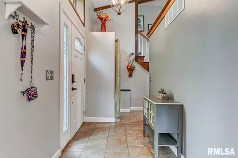 39 Meander Pike, Chatham, IL 62629 photo 5