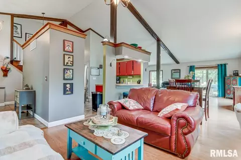 39 Meander Pike, Chatham, IL 62629 photo 8