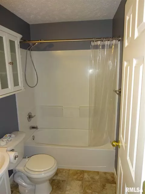 825 N Ohio Ave, Springfield, IL 62702 photo 14